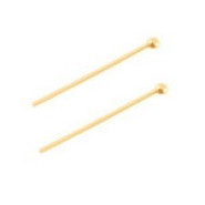 Roestvrij stalen (RVS) Nietstiften